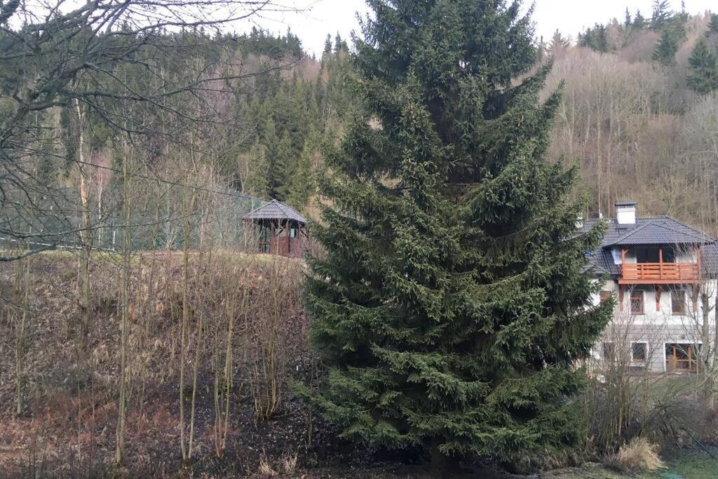 Villa Vykmanov Medenec Exteriér fotografie